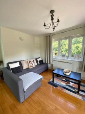 Cosy London Apartment near Canary Wharf